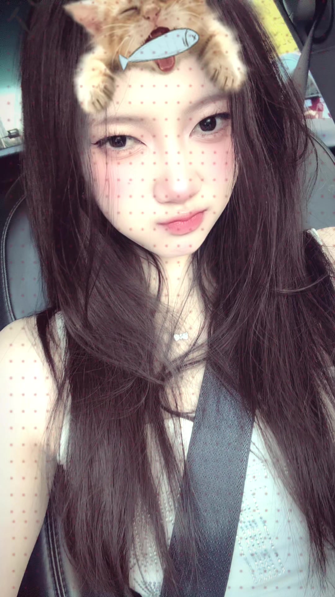 @โมจ้ำไม่เคยแมว