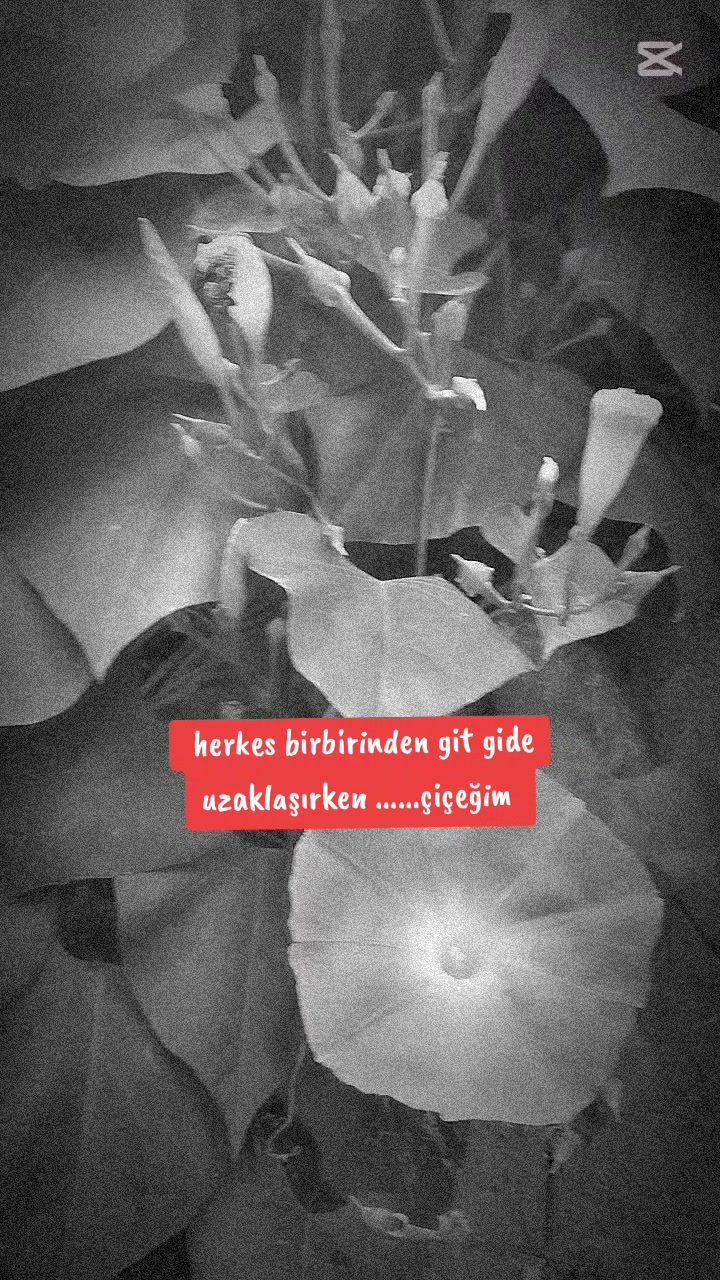 @🌹🌹ELA GÖZLÜ 🌹🌹