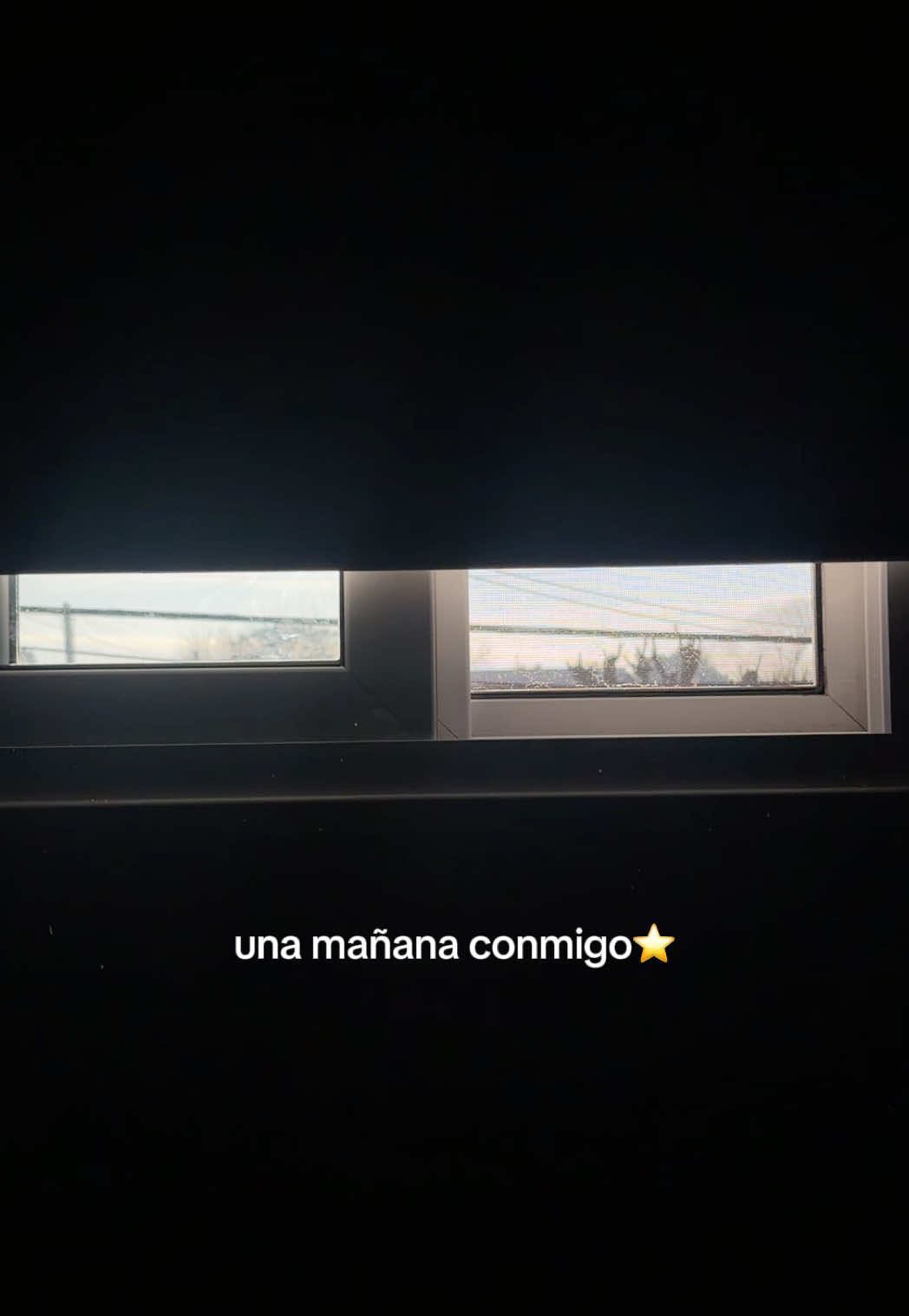 @cata_barbuto
