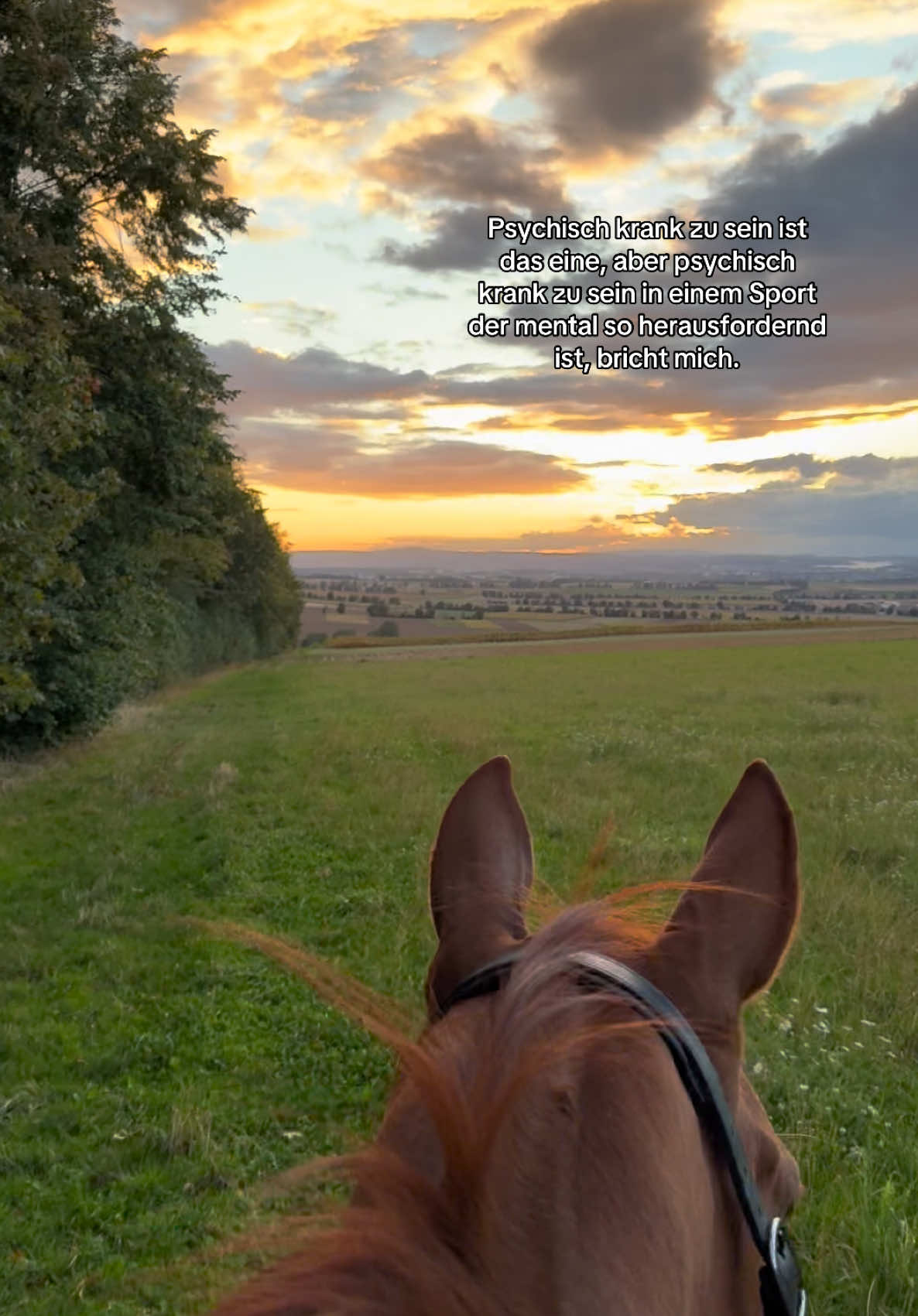 @annalisa.equestrian