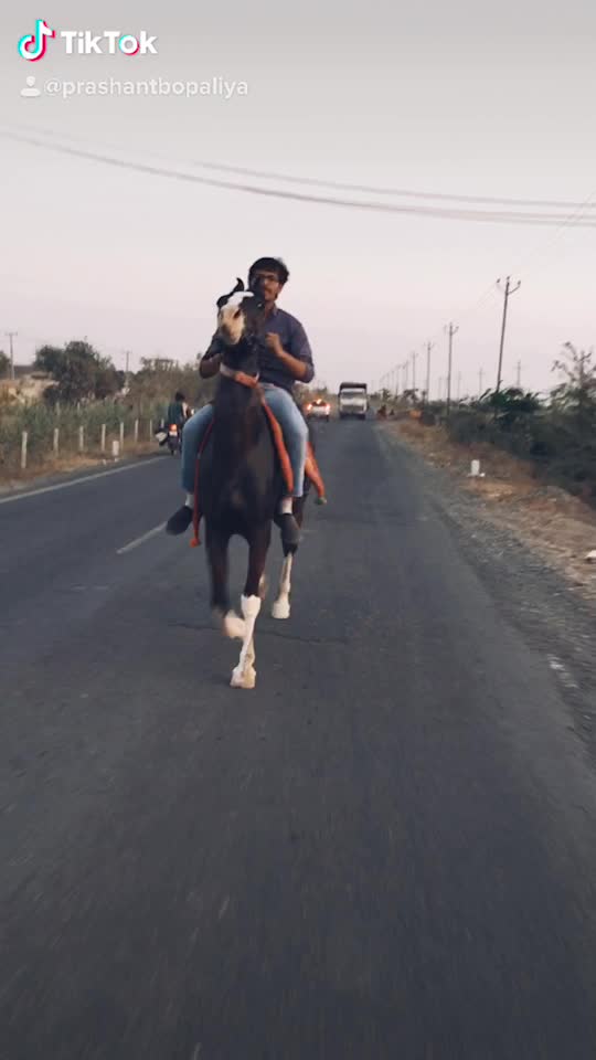 @Dhruv Bopaliya