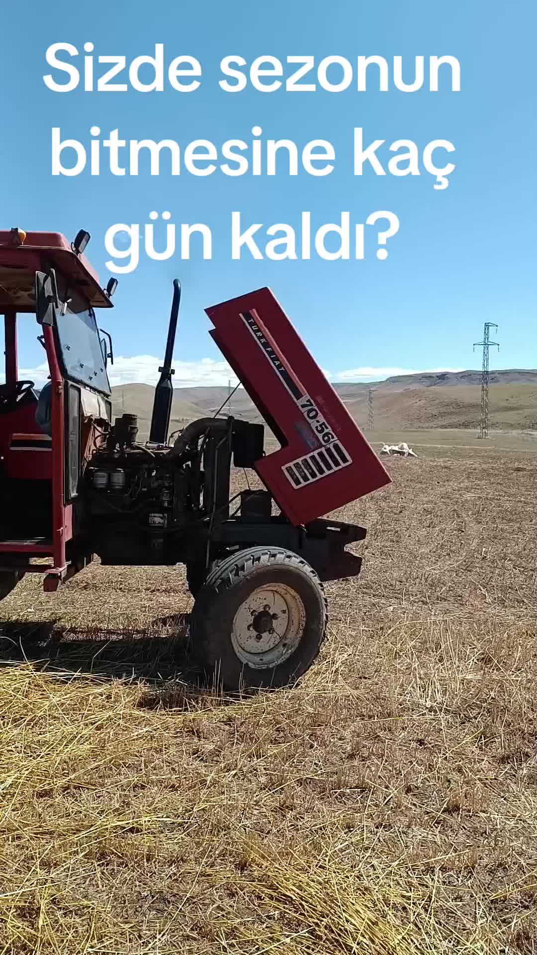 @Hamza Akboğa