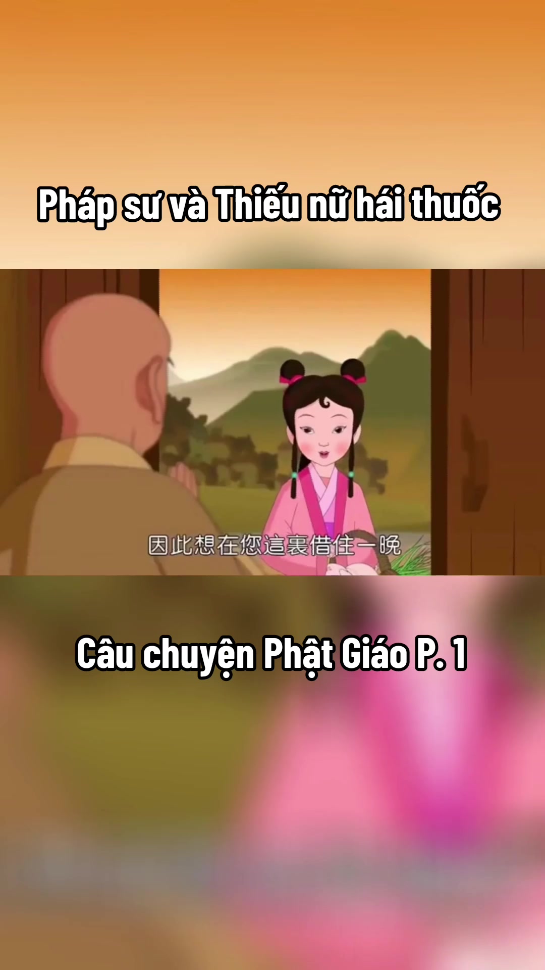 @🍃Theo Bước Ch&acirc;n Phật