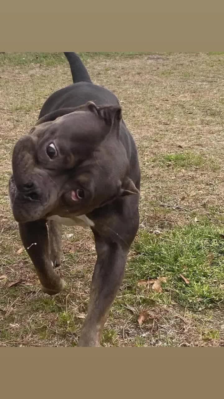 @Flextimebullyz