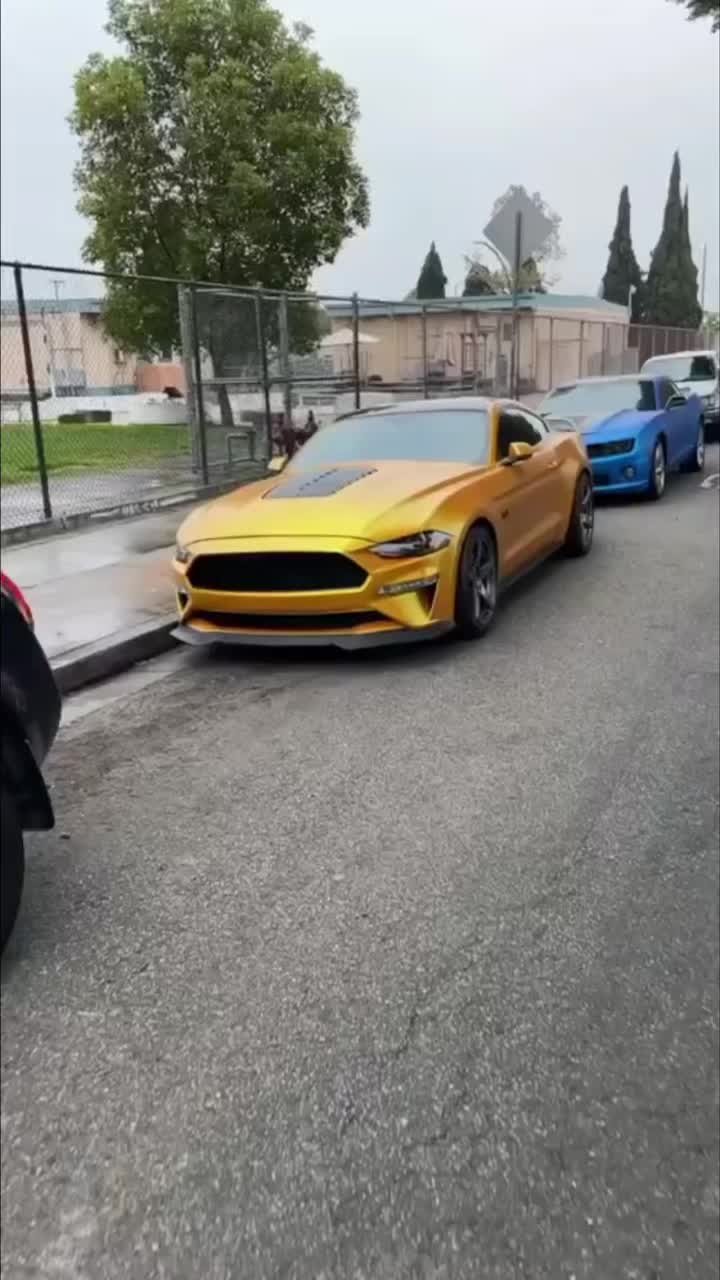 @Chapo_Ss