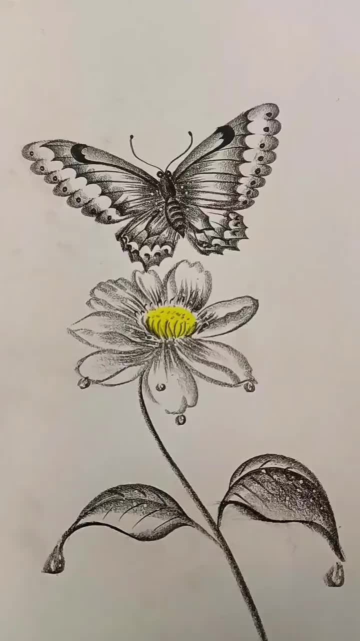 @blanche3121