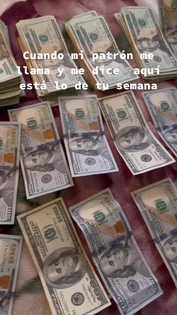 @ElChequeperez502