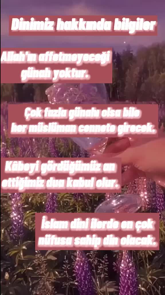 @HP
