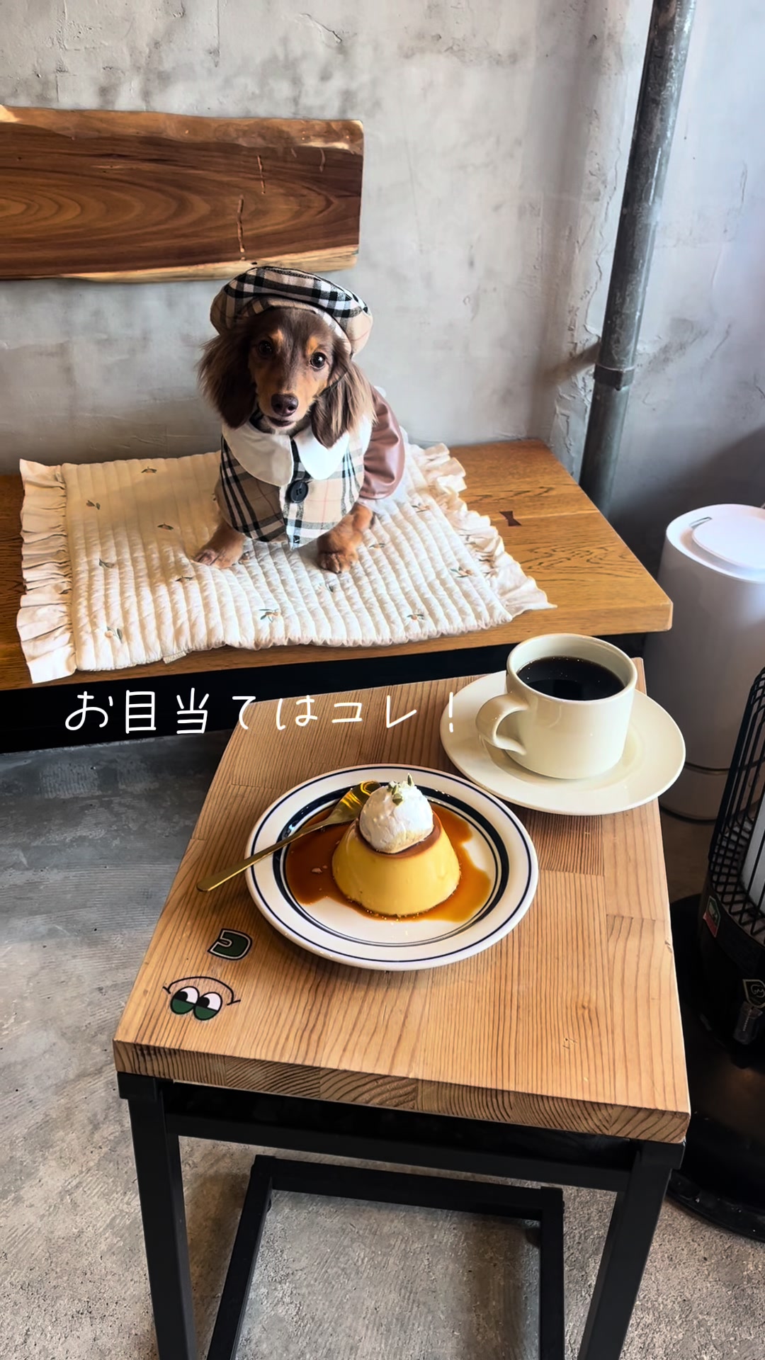 @wanwanカフェ物語