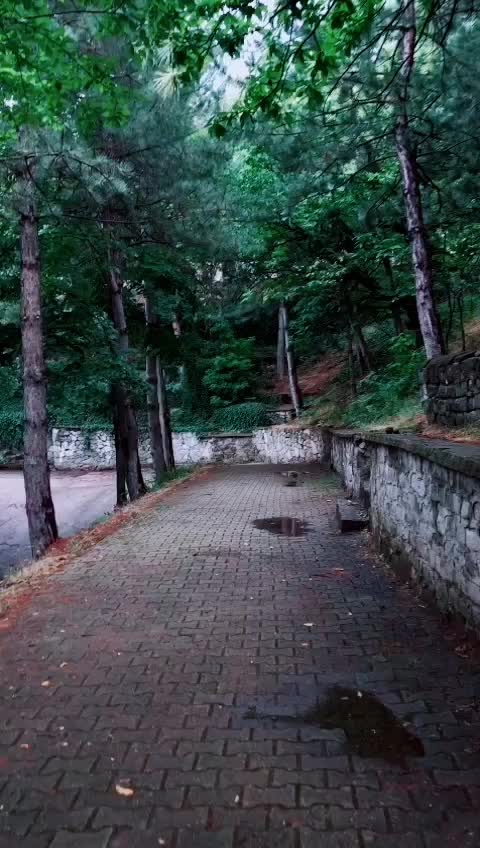 @🇹🇷🇹🇷🤘ASEM_3232?🤘🇹🇷🇹🇷