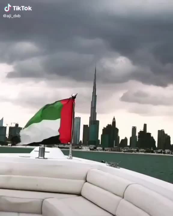 @Ameerkn7