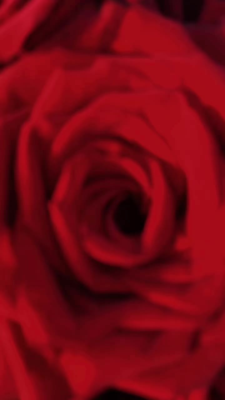 @_irka_popach_