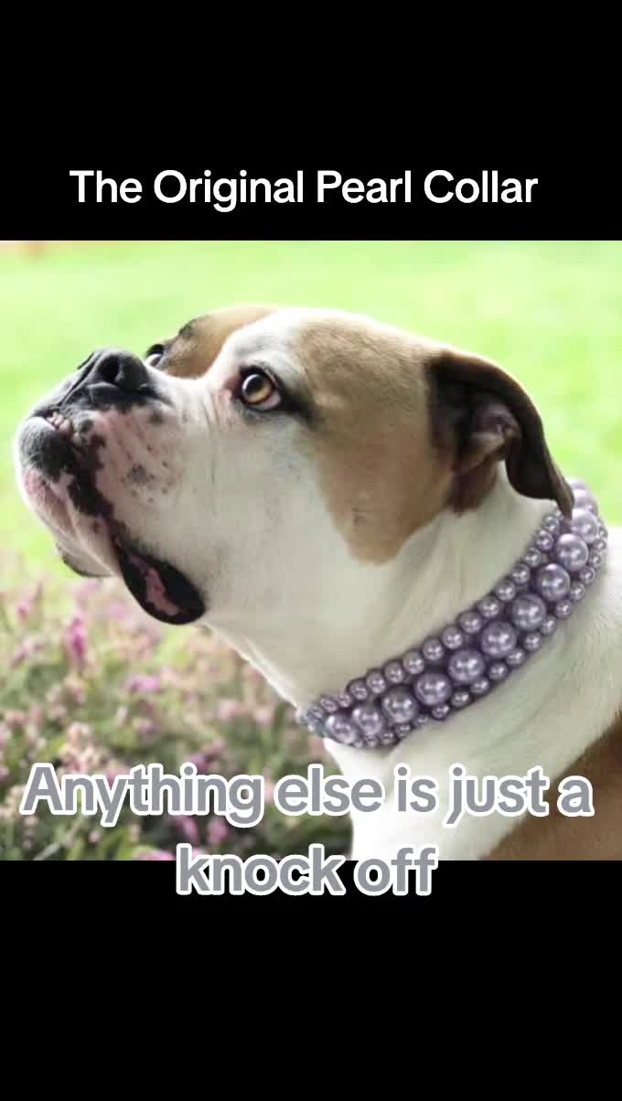 @Beadie Babiez Collar Shop