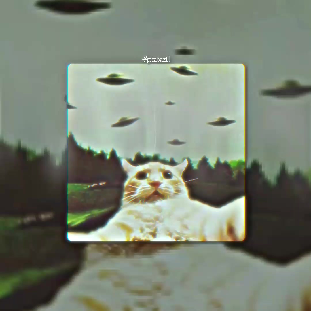 @#𝙋𝙝𝙖𝙩𝙎𝙥𝙚𝙚𝙙.!