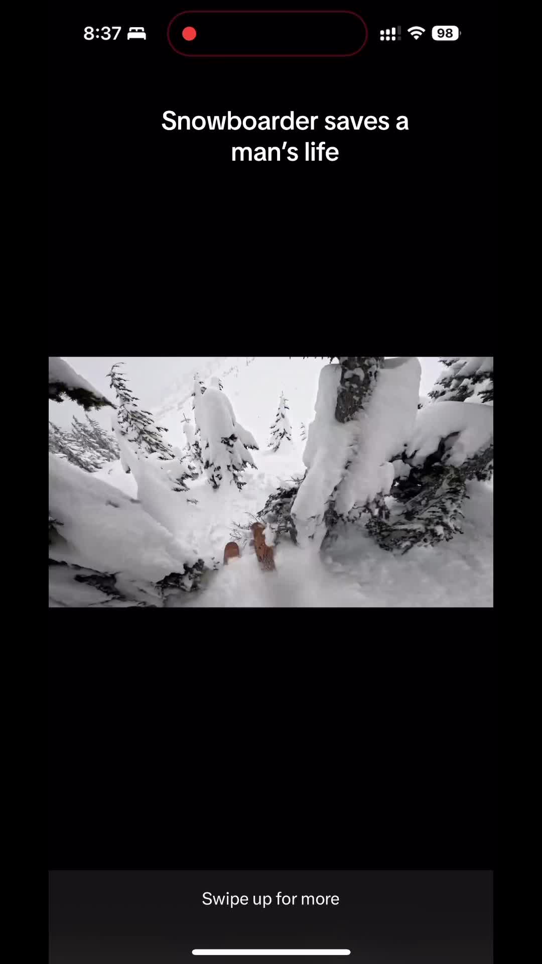 @wild tapes