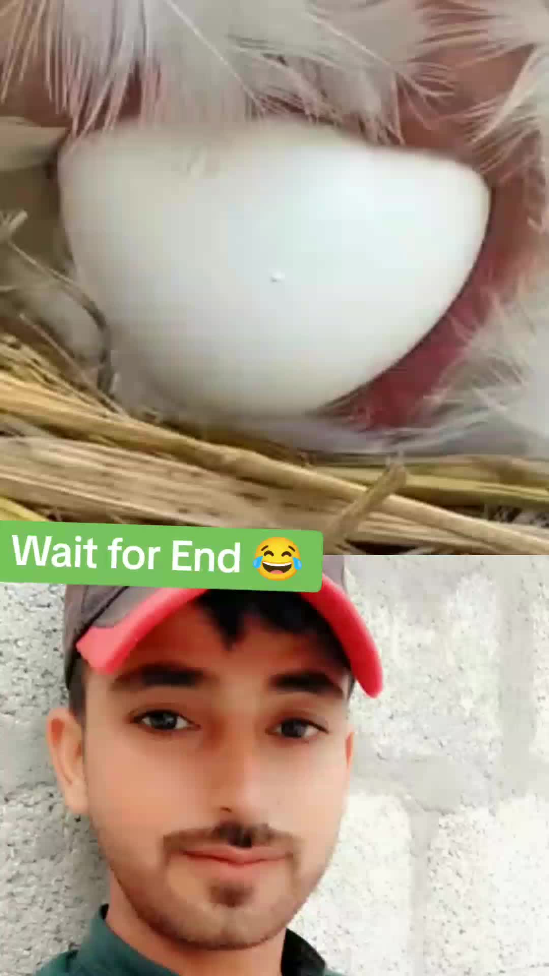 @Malik Bhai