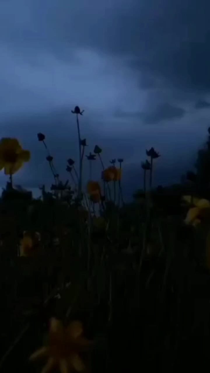 @алексей