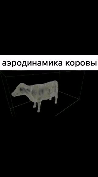 @Жека Джинада