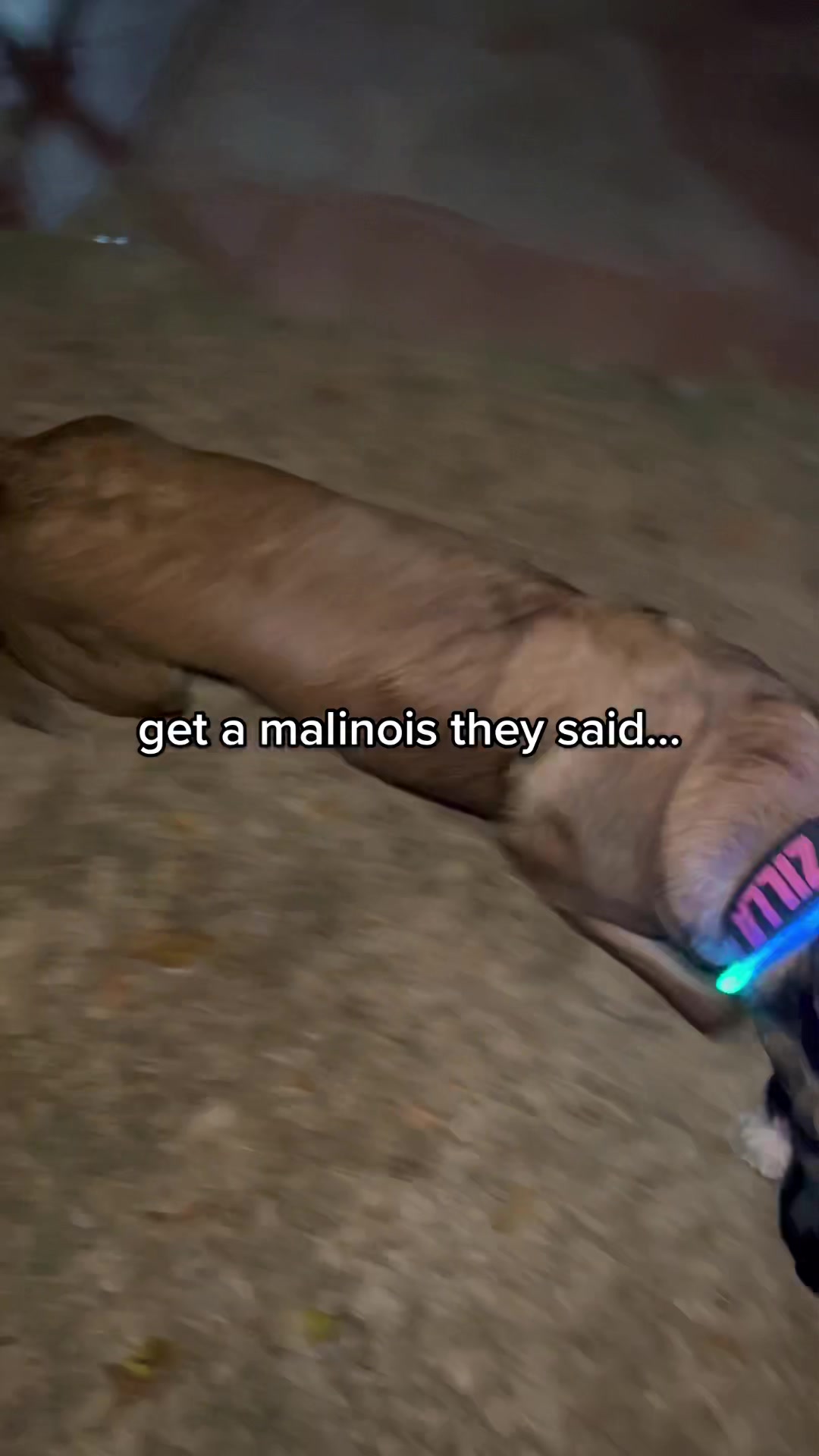 @ℌ𝔢𝔩𝔩𝔞 ℭ𝔞𝔫𝔦𝔫𝔢𝔰