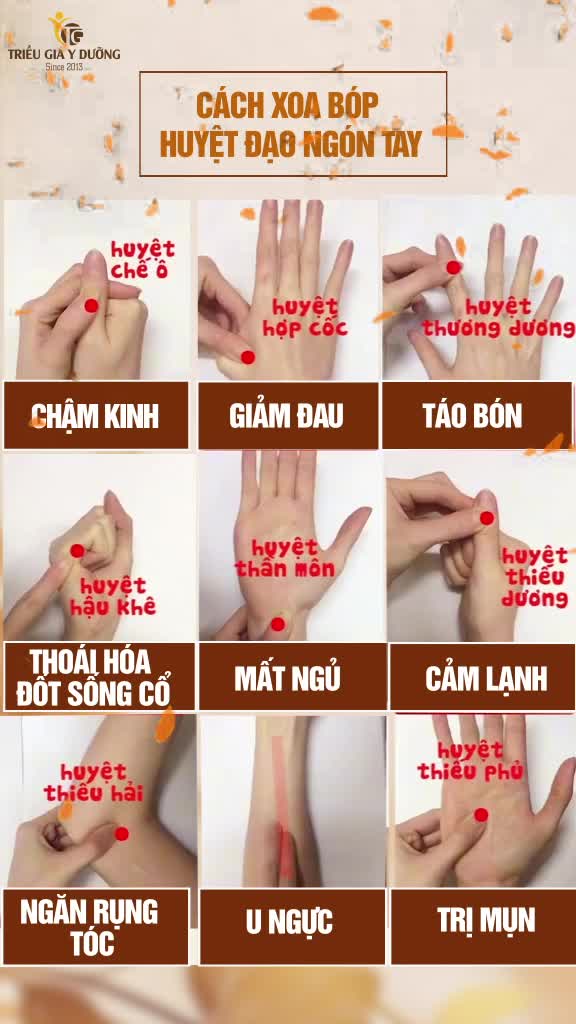 @Triều Gia Y Dưỡng
