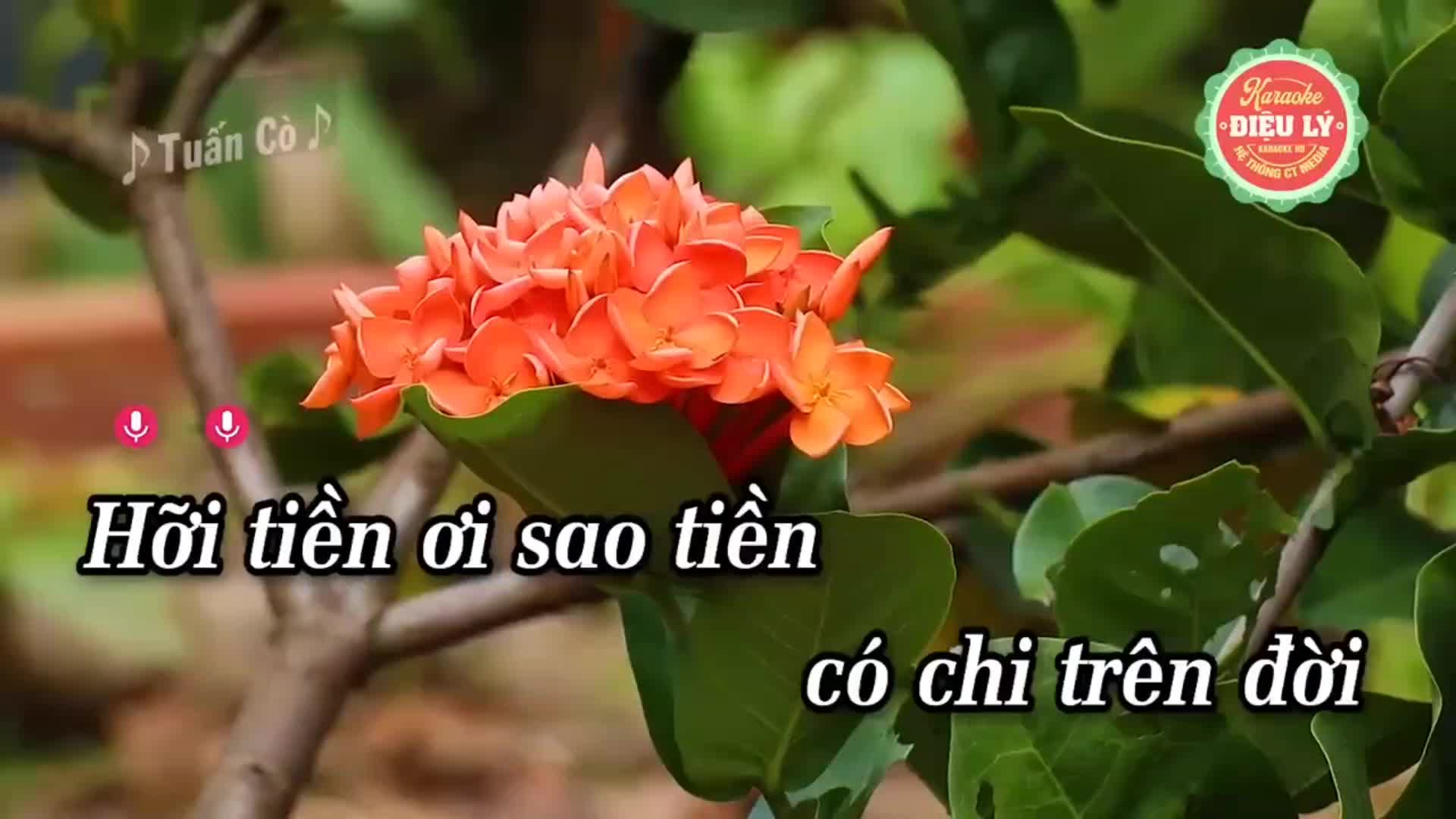 @M&ecirc; ca h&aacute;t