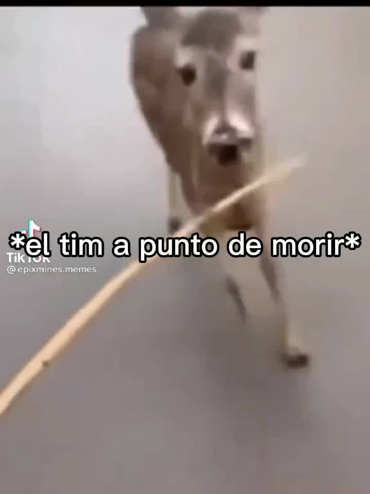 @rolhetaliano