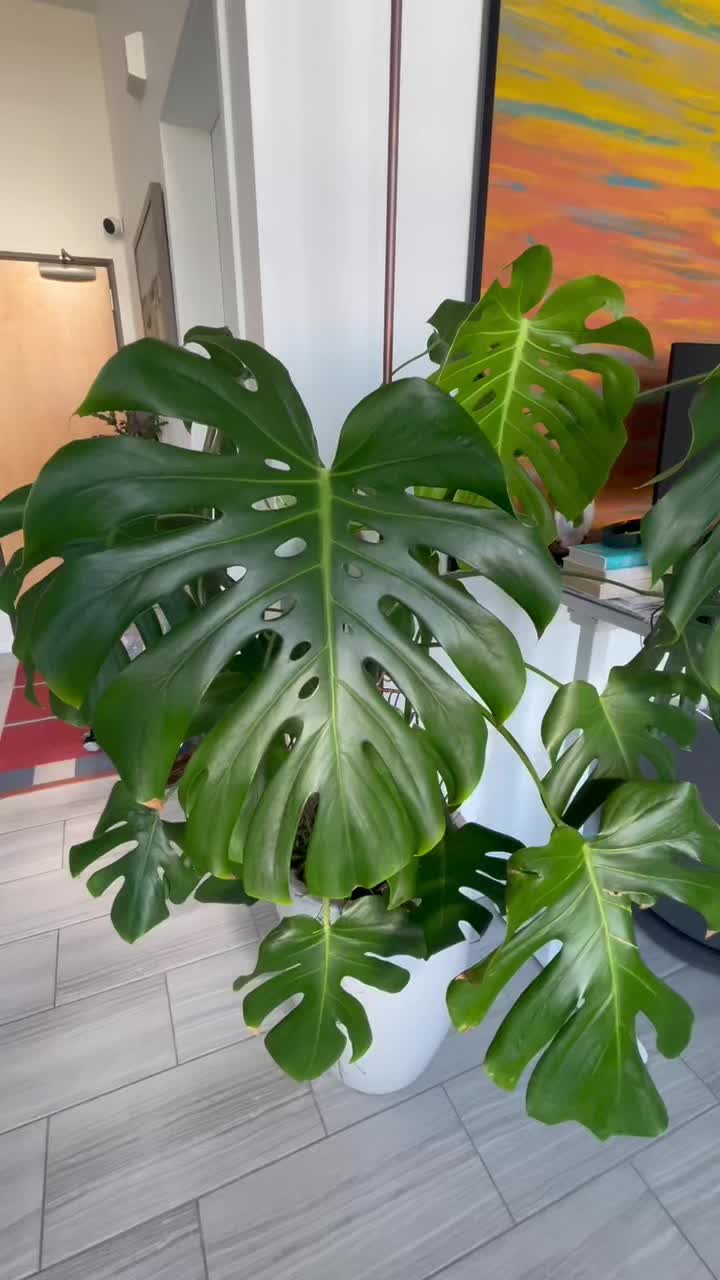 @The_Plant_Blogger