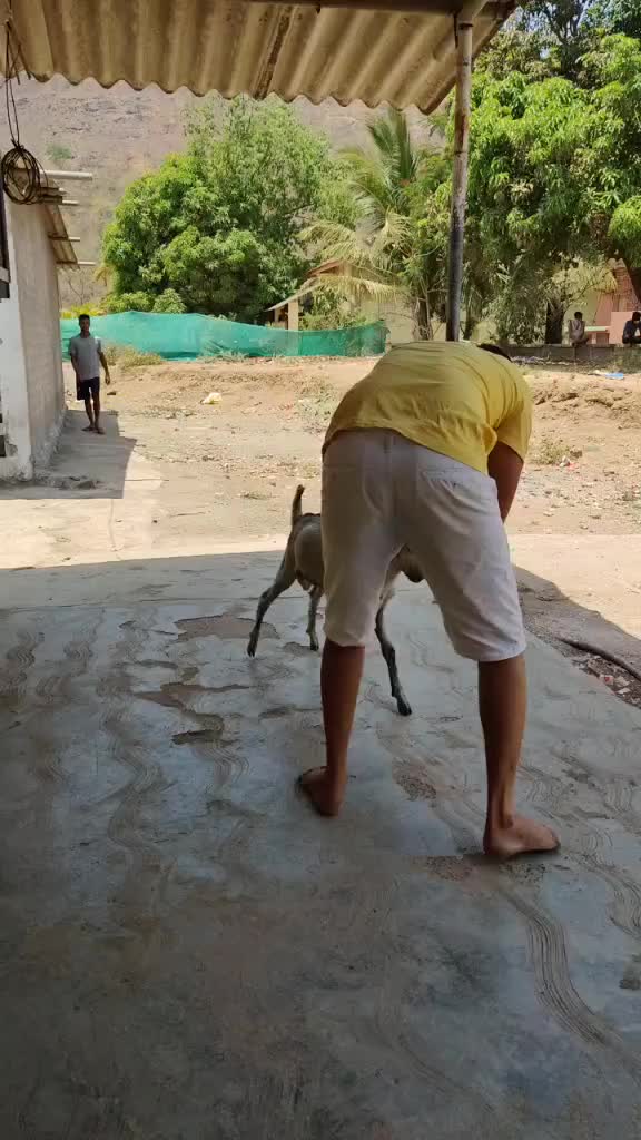 @W Kunal