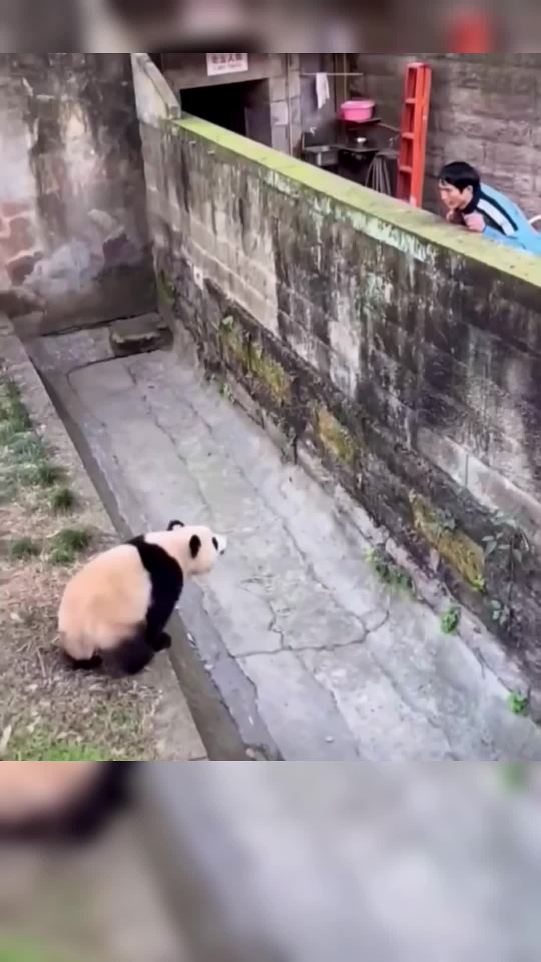 @meowhhcdntb