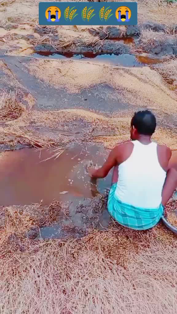 @Kasula Chandrashekar