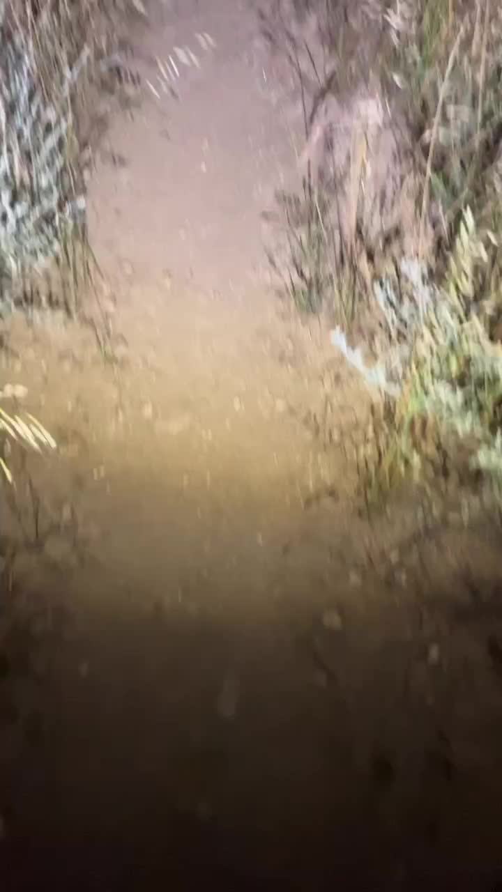 @Mr_hiking_dude