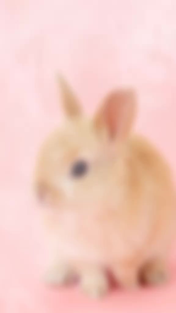 @lama