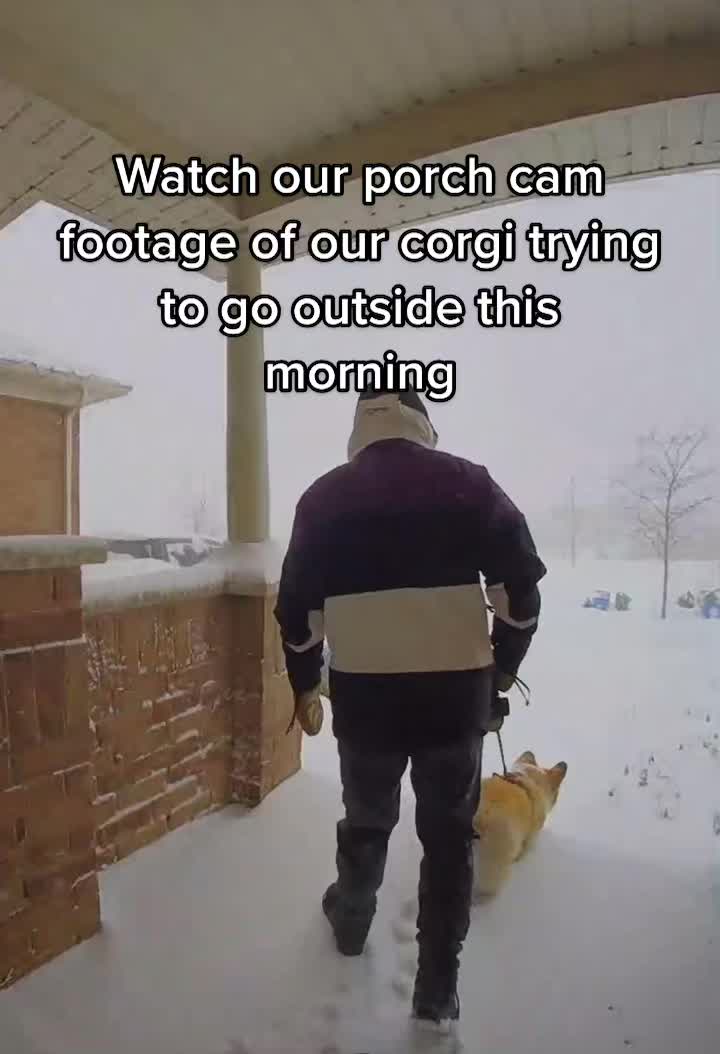 @hudsonthefluffycorgi