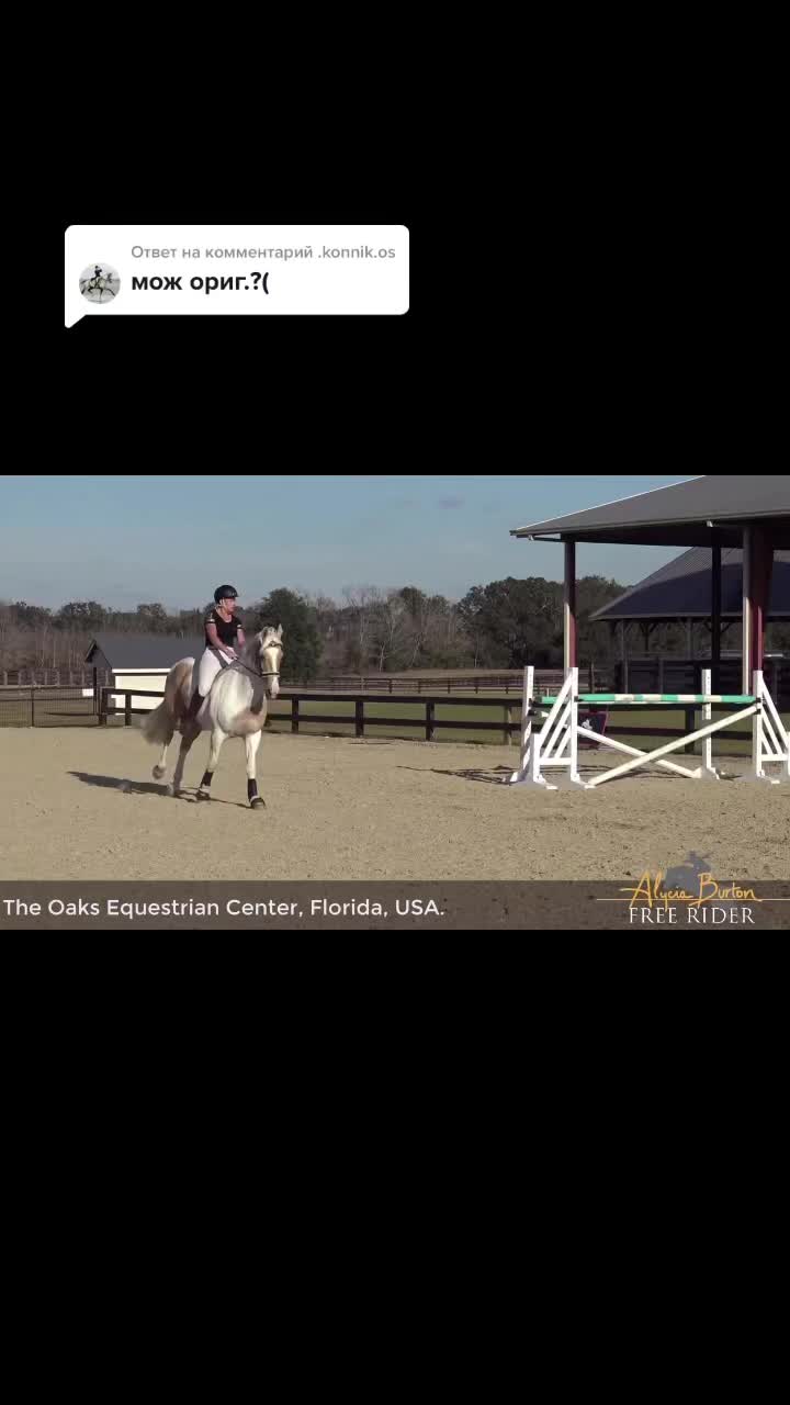 @horse riders