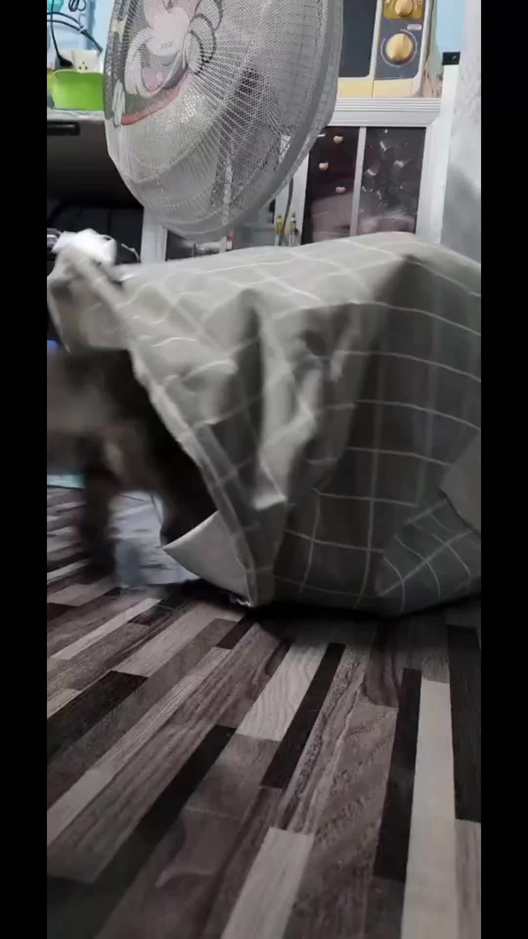 @oummy0612