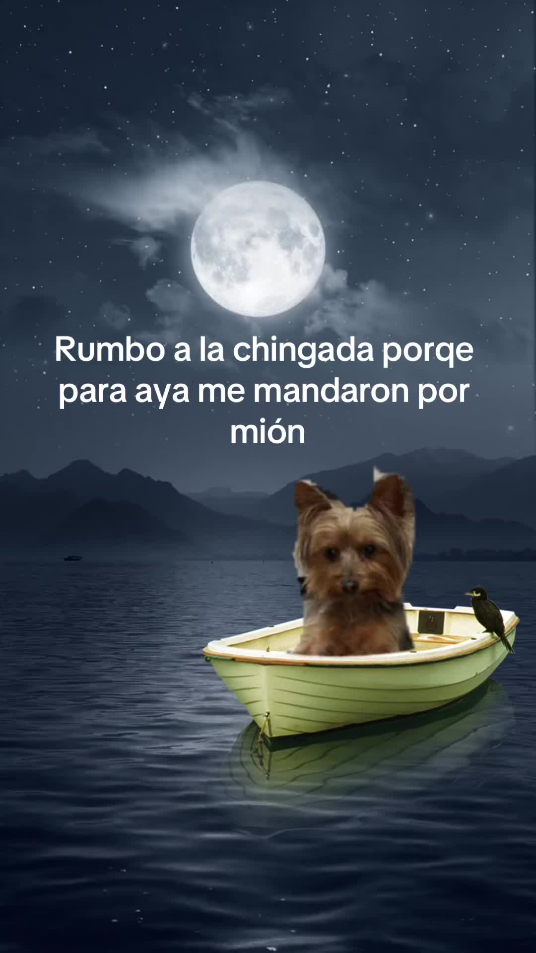 @amarantaesp