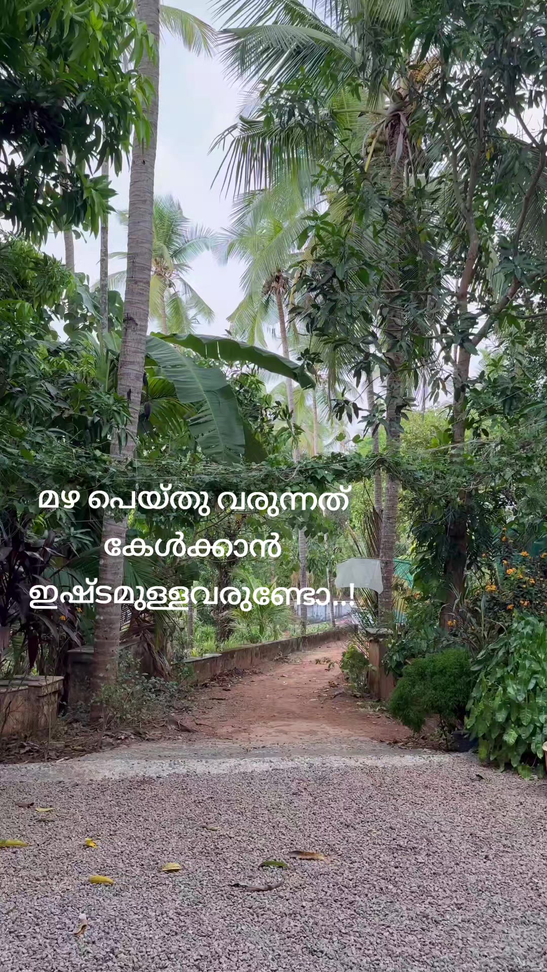 @𝑱𝒊𝒎𝒎𝒊 𝑩𝒂𝒉𝒓𝒂𝒊𝒏