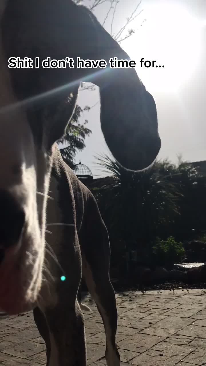 @GrandmaClicksBricks