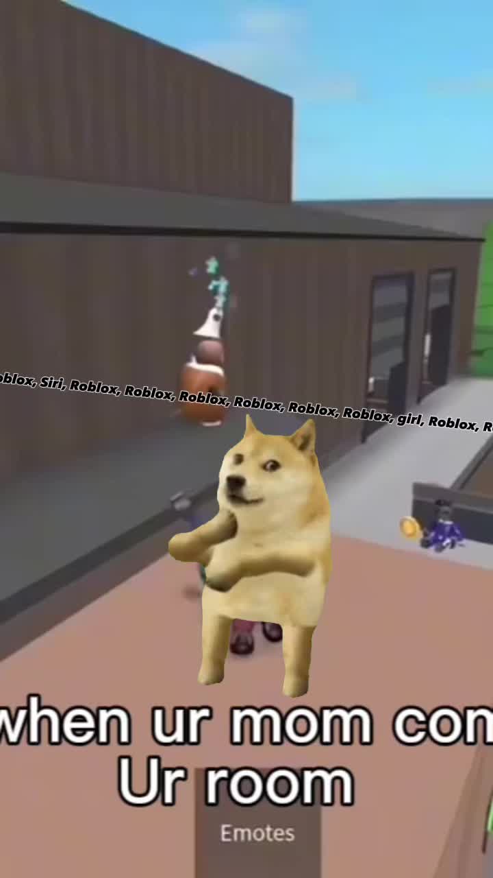 @Nikoooooooooooo