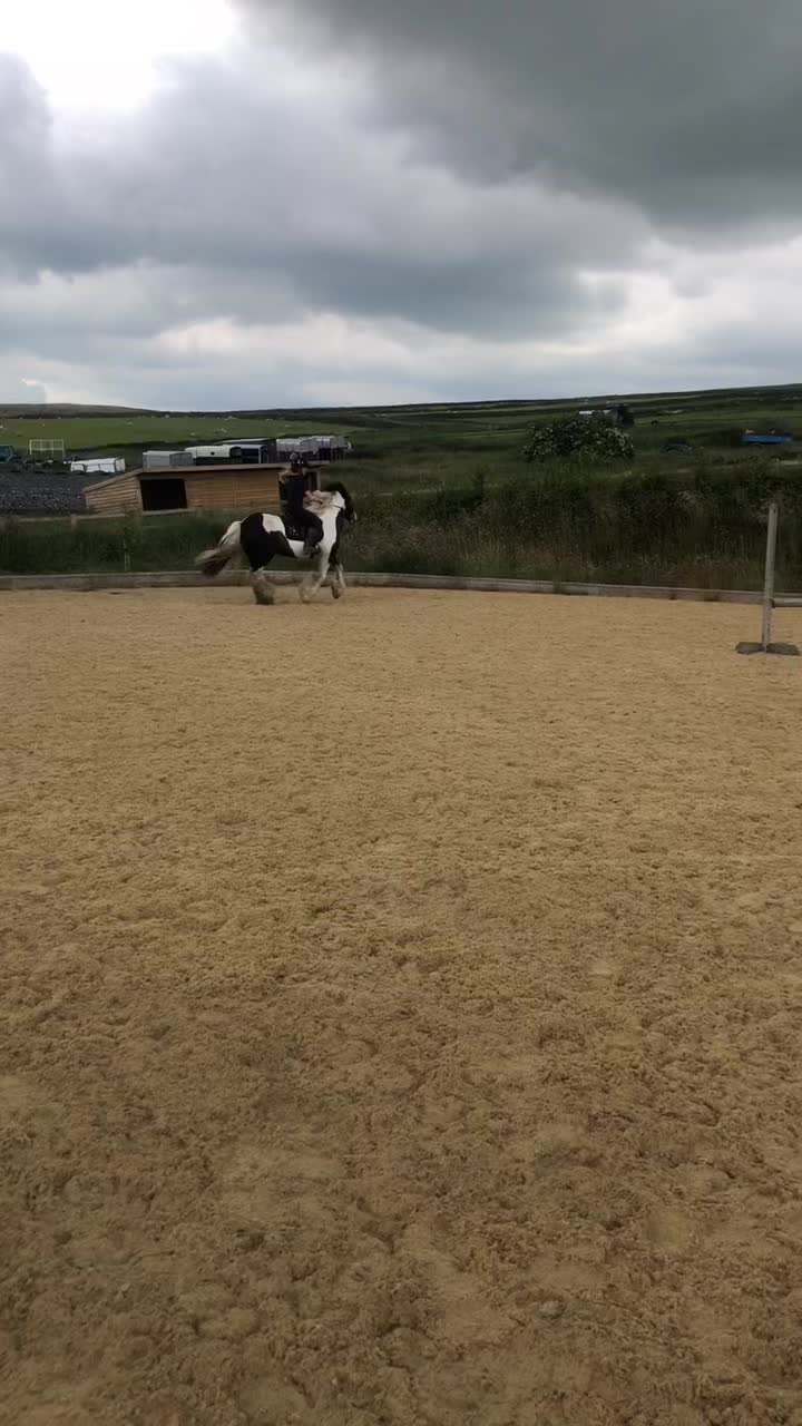 @2.8K