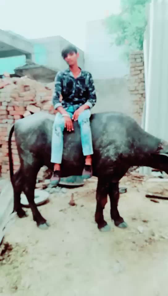 @Mannu Kumar