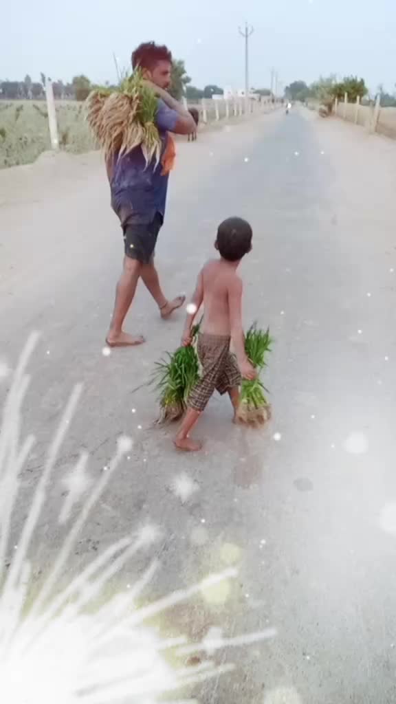 @Sunil Kumar