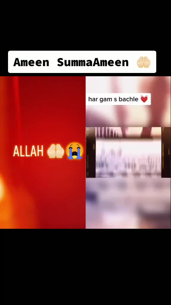 @saikajamshed0786