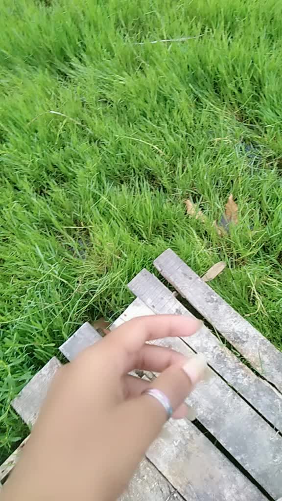 @🦋নিষ্য আকাশের রং🦋