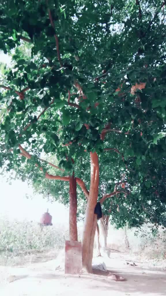 @bhgirathradhava1111