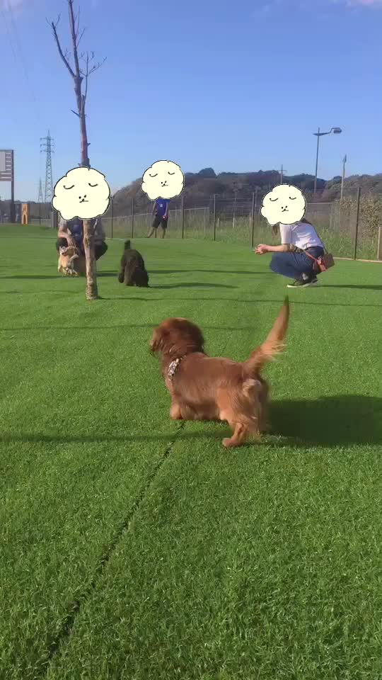 @平尾もとな