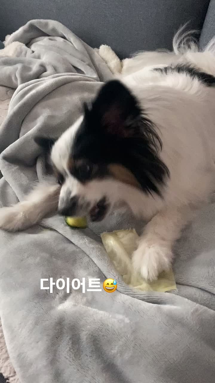 @jju