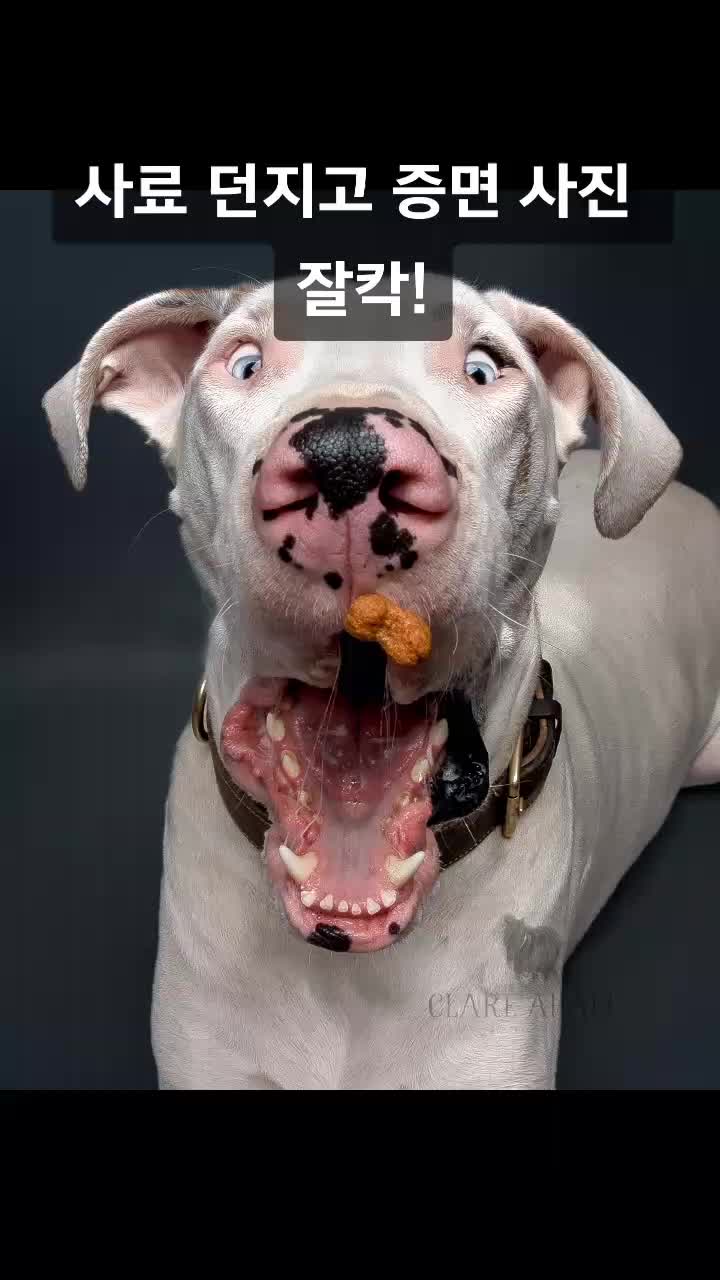 @Taqqalbidong