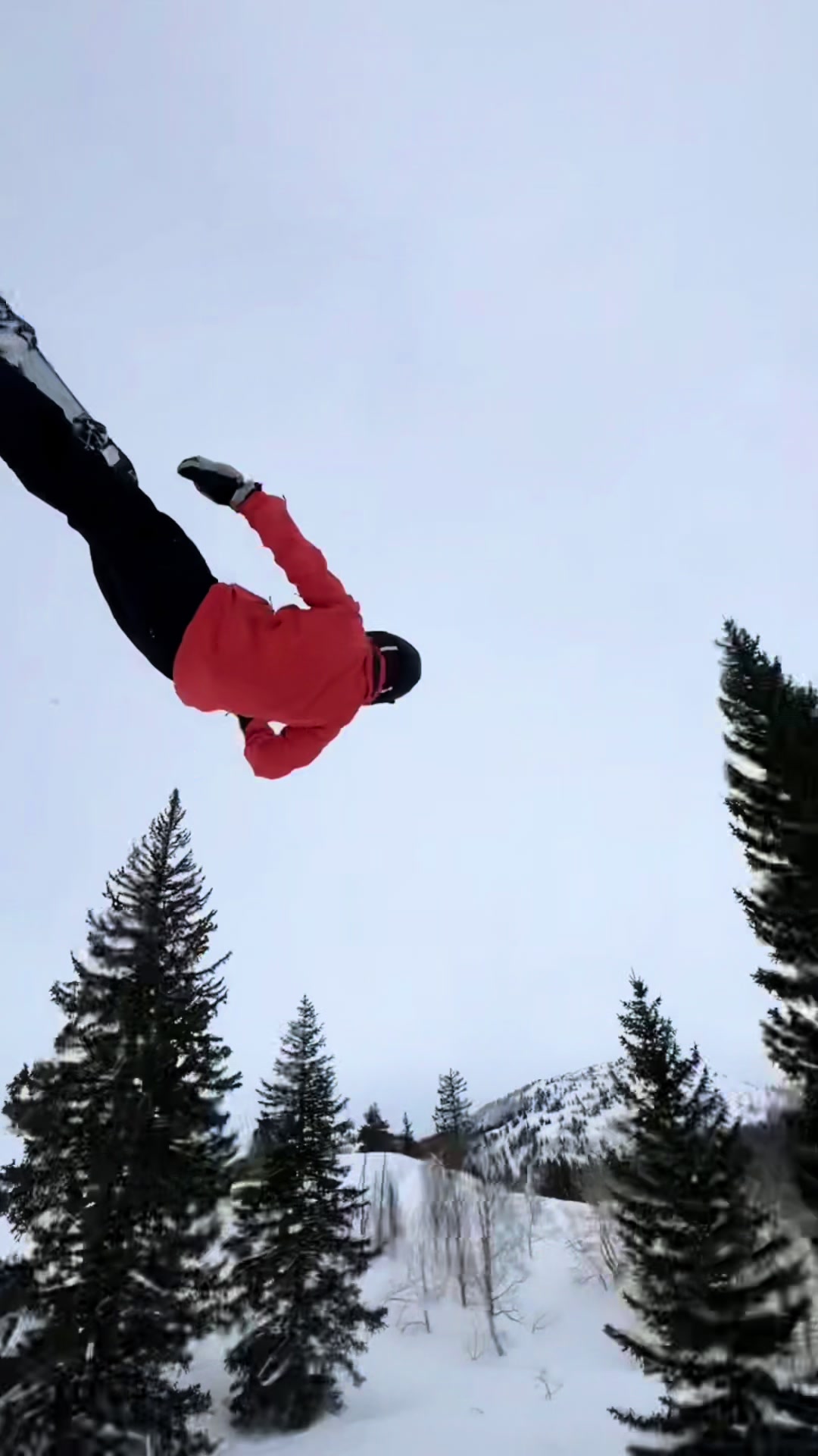 @ridesnowboards