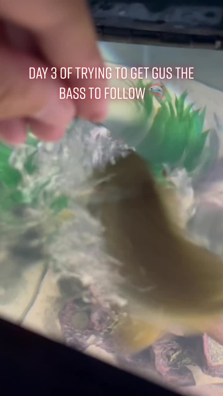 @Grub_the_bass